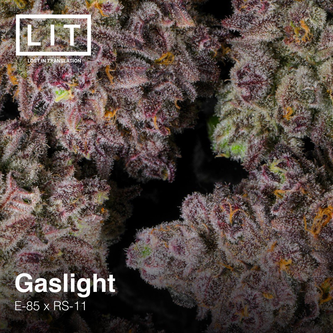 Gaslight Lit Farms Seedtopia Cannabis Seeds Shop In Thailand