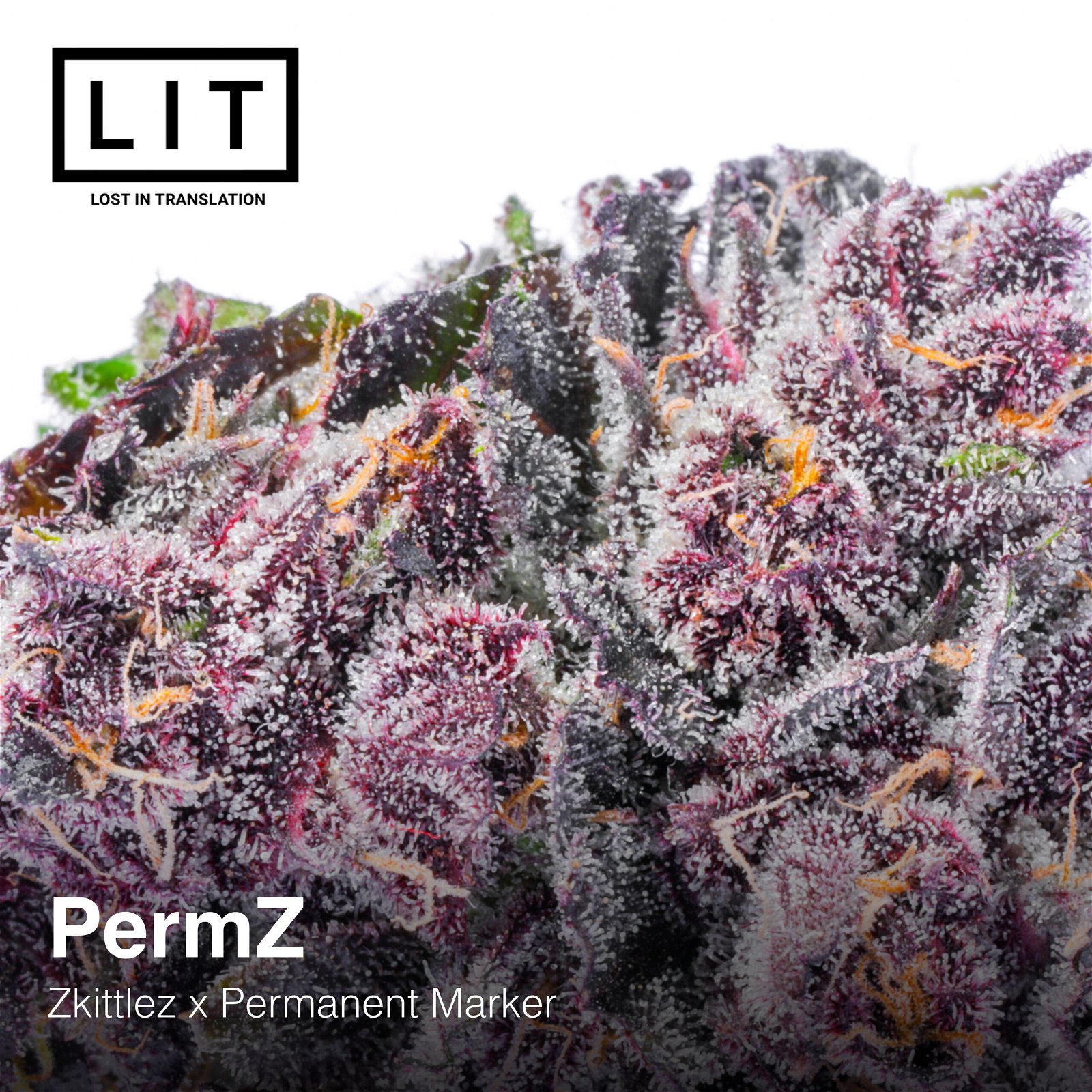 Permz Lit Farms Seedtopia Cannabis Seeds Shop In Thailand