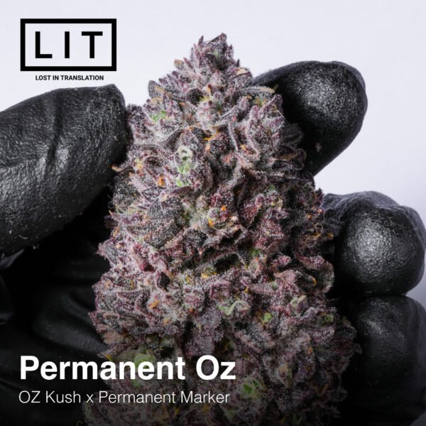 Permanent Oz Lit Farms Seedtopia Cannabis Seeds Shop In Thailand