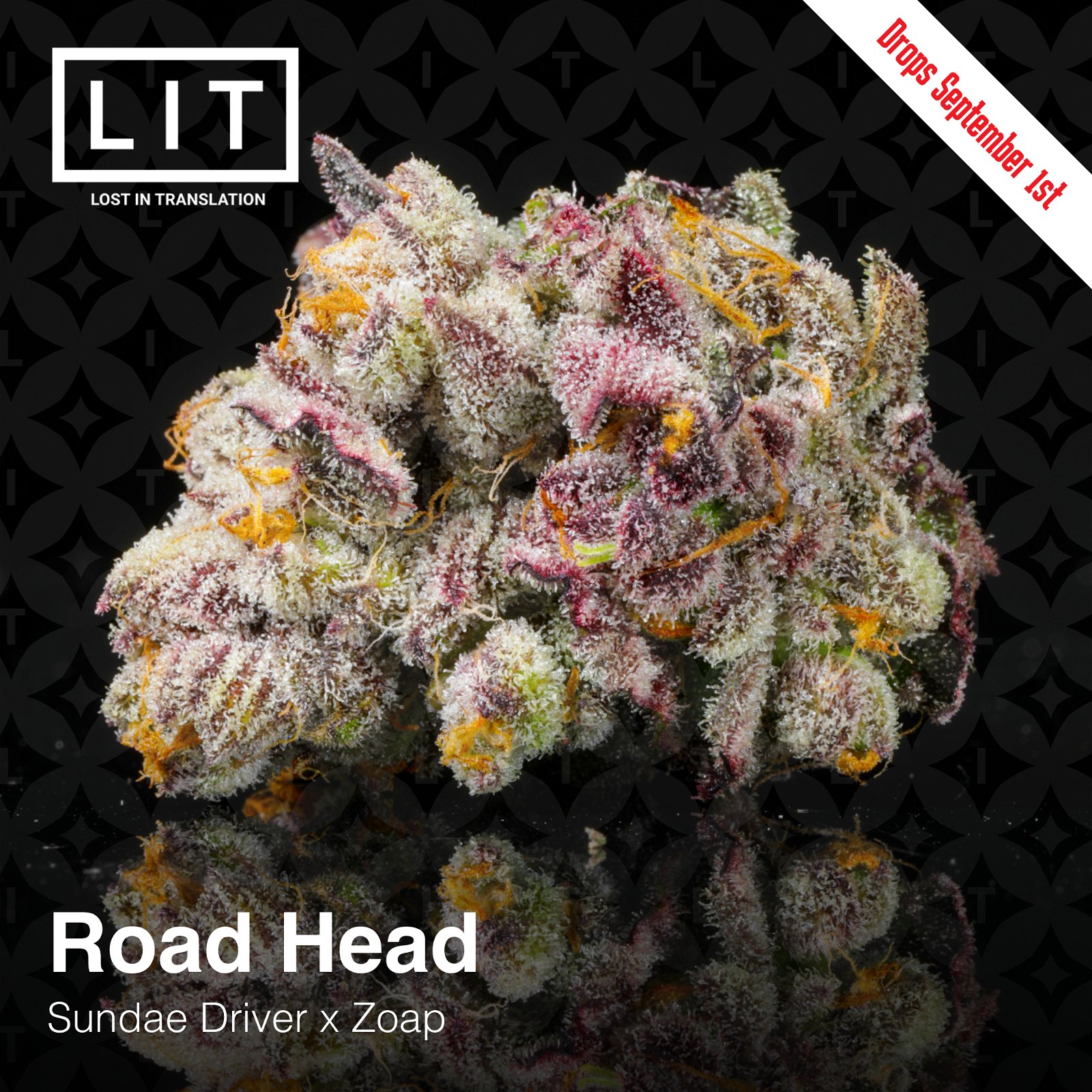 Road Head Lit Farms Seedtopia Cannabis Seeds Shop In Thailand