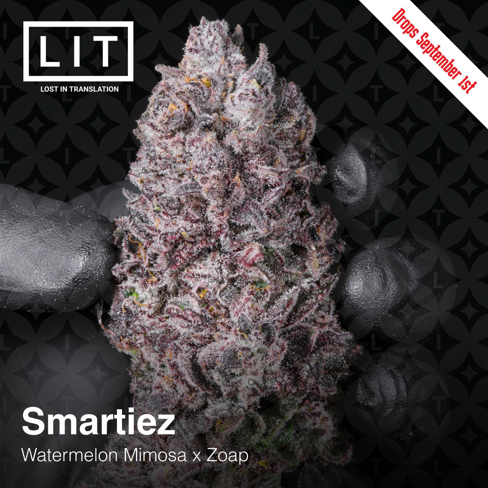 Smartiez Lit Farms Seedtopia Cannabis Seeds Shop In Thailand