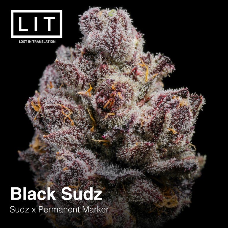 Black Sudz Lit Farms Seedtopia Cannabis Seeds Shop In Thailand